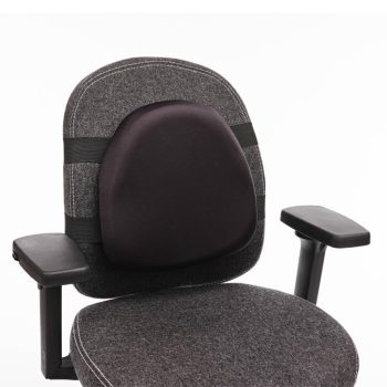 Premium Active Back Support
